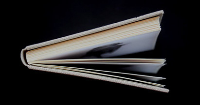 Draft binding for THE PAINTER AND THE BIRD