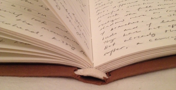 Original handbound manuscript of "LIGHT JOURNAL"